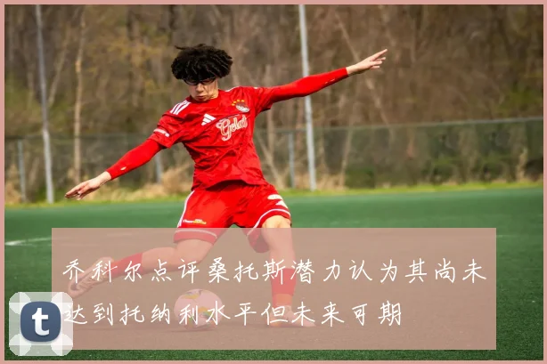 乔科尔点评桑托斯潜力认为其尚未达到托纳利水平但未来可期