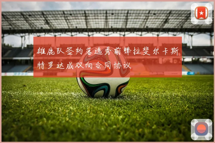 雄鹿队签约落选秀前锋拉斐尔卡斯特罗达成双向合同协议